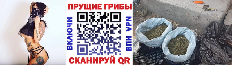 что такое наркотик  Лакинск  Галлюциногенные грибы Magic Shrooms 